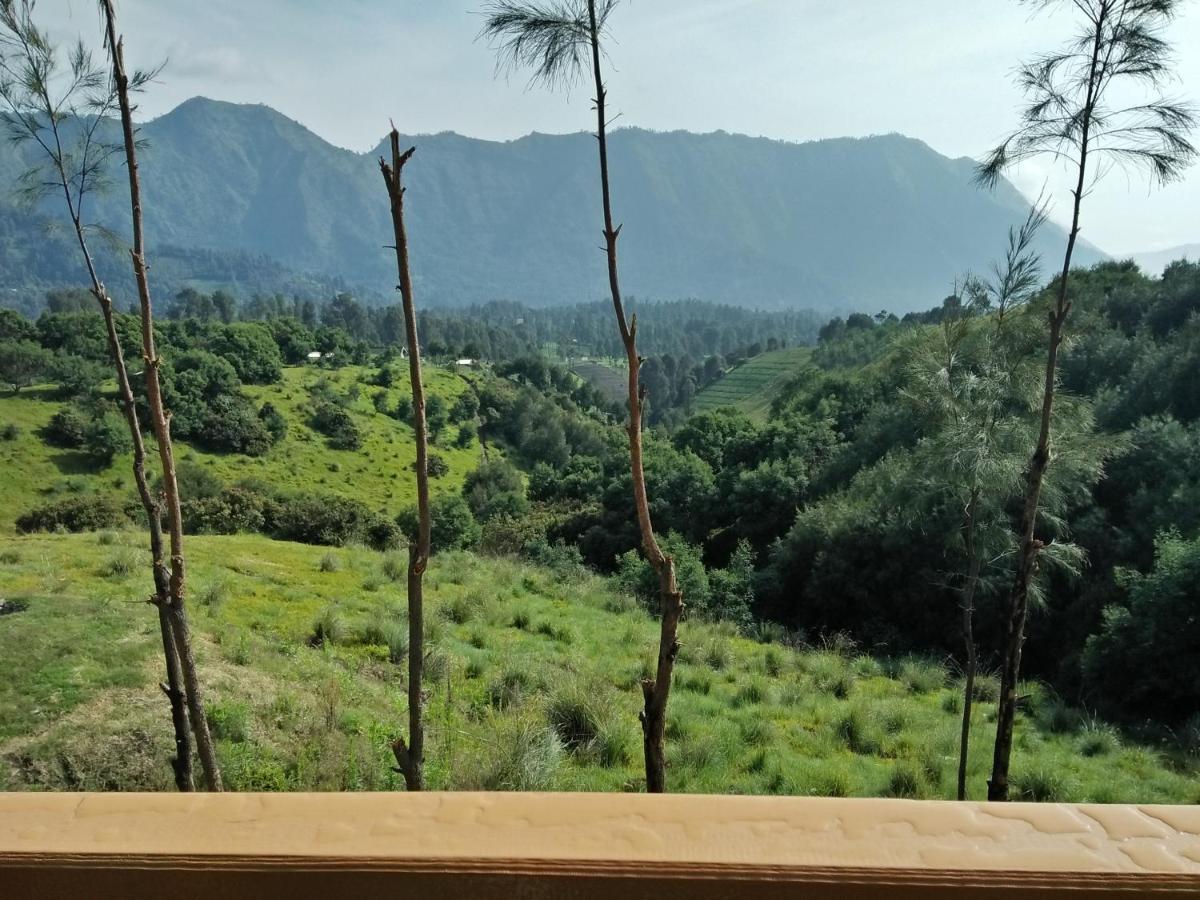 Lava View Lodge Бромо Екстер'єр фото
